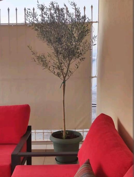 7Th Floor Spacious Veranda In The Heart Of 雅典 外观 照片